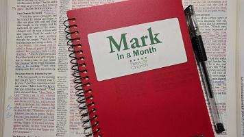 Daily Reading through Mark - The Big Story and Structure