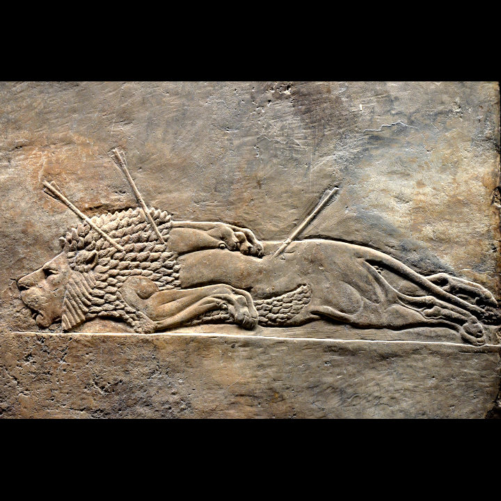 Nineveh Nineveh