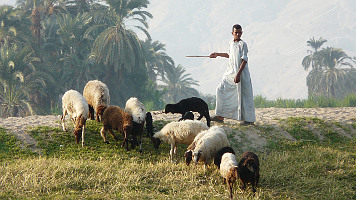 “The Lord is my Shepherd” brought to life with David's Own Stories (Psalm 23)