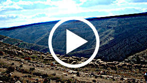 Parable of the Good Shepherd (John 10:1-21) Parable of the Good Shepherd (John 10:1-21)