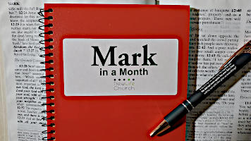 Mark in a Month Reading Schedule